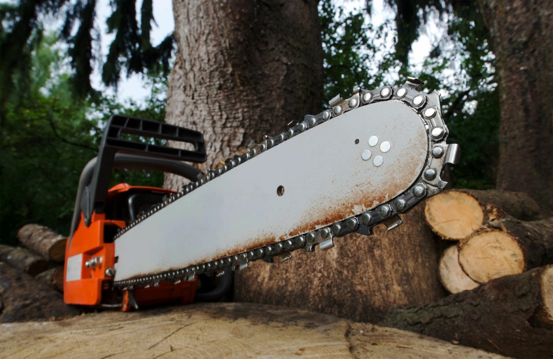 Woody's Tree Service
